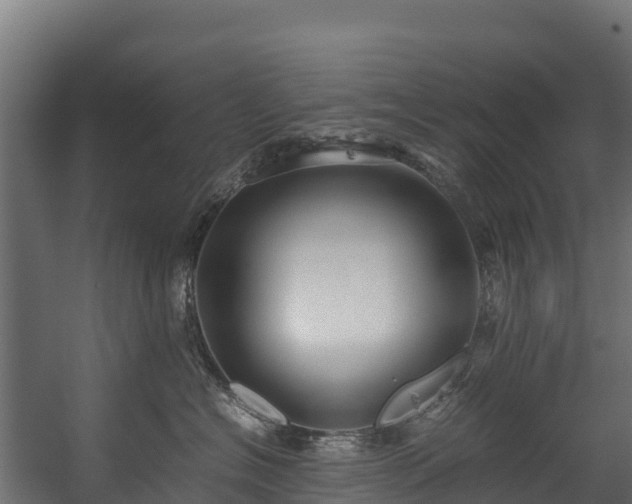 X0000058130574200509261304