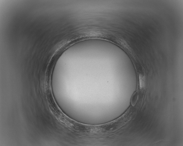 X0000058130579200509261303