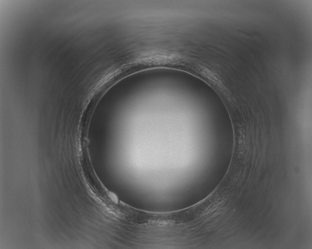 X0000058130582200509261303