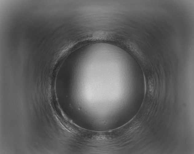 X0000058130588200509261303