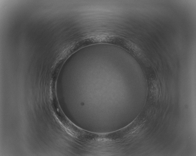 X0000058130590200509261303