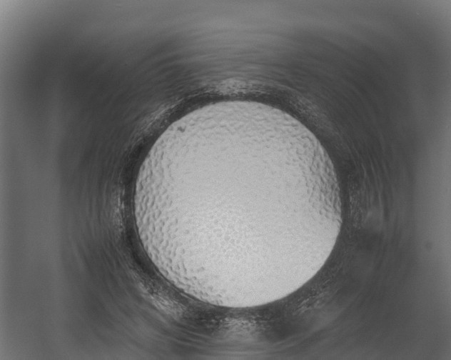 X0000058130592200509261302