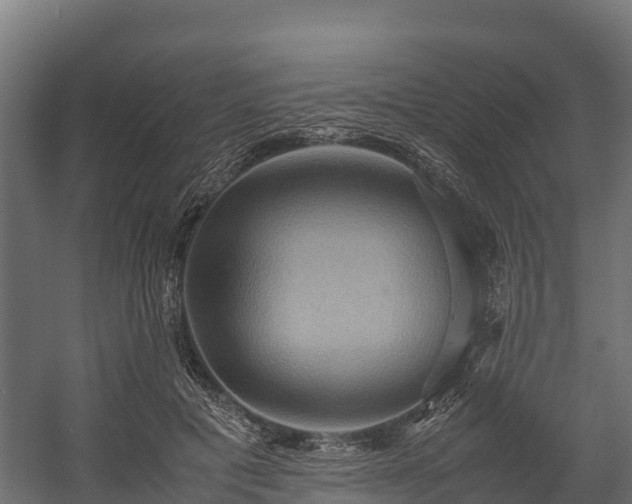 X0000058130601200509261302