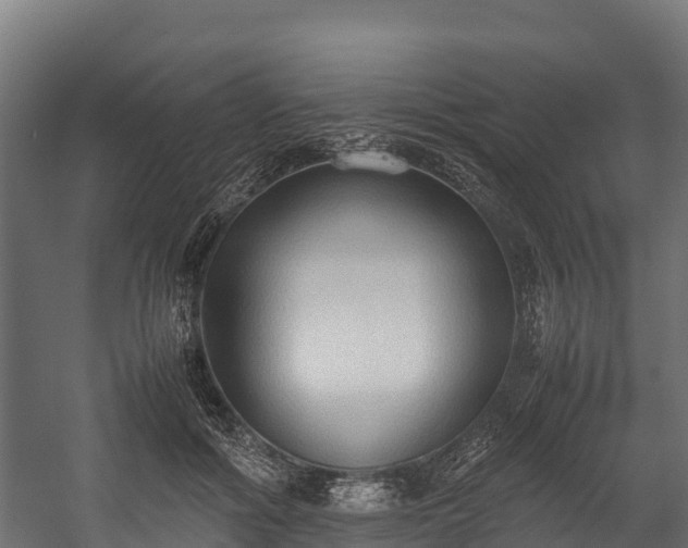 X0000058130602200509261302