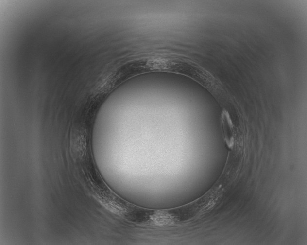 X0000058130603200509261302