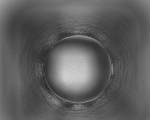 X0000058130605200509261302