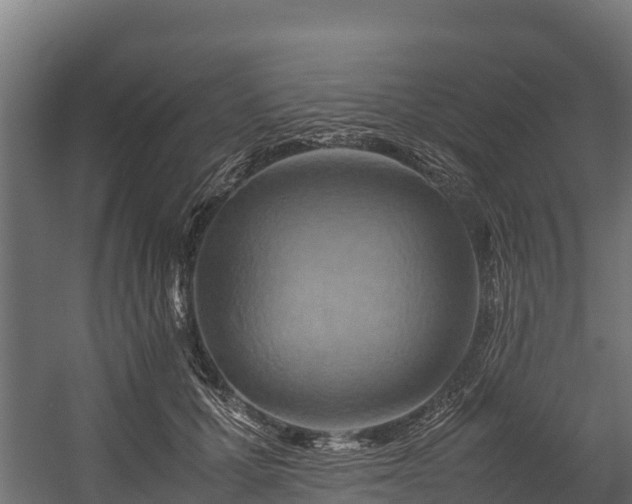X0000058130607200509261302