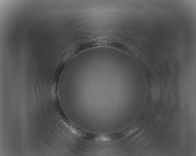 X0000058130610200509261302