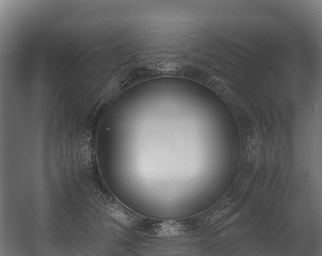 X0000058130612200509261302
