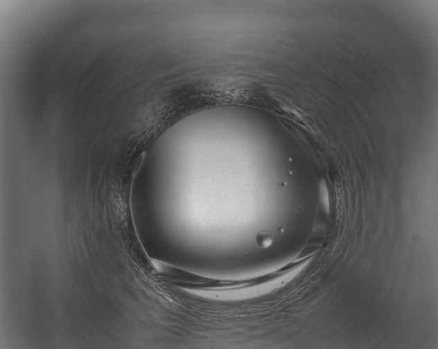 X0000058130613200509261302