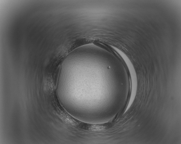 X0000058130617200509261302
