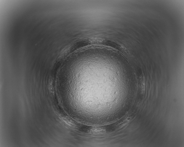 X0000058130619200509261302