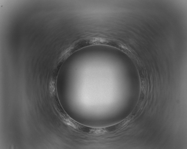 X0000058130621200509261302