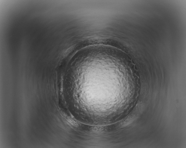 X0000058130624200509261302