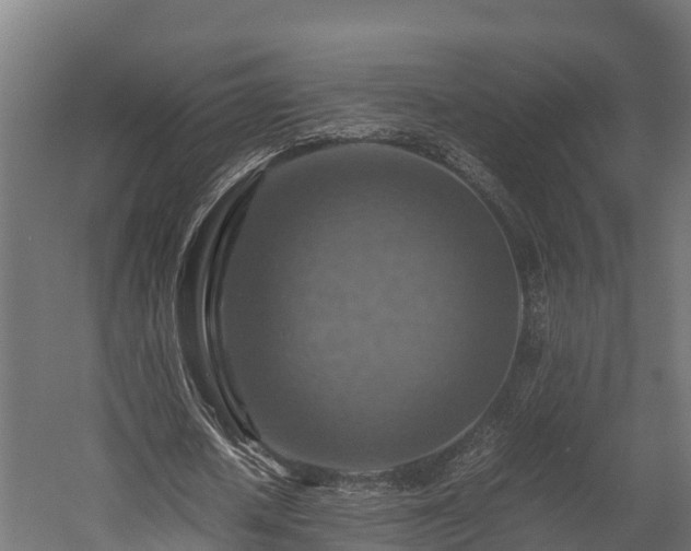 X0000058130626200509261301