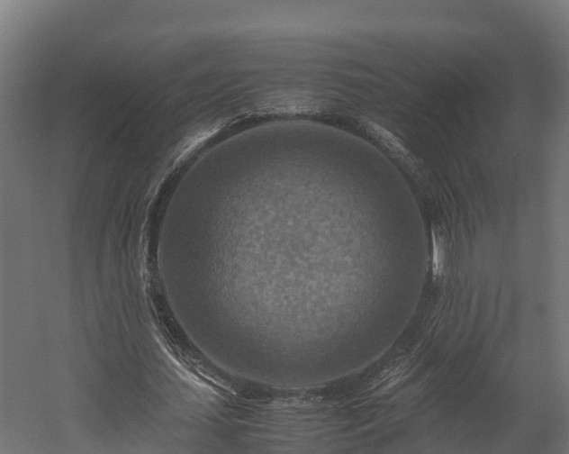 X0000058130627200509261301