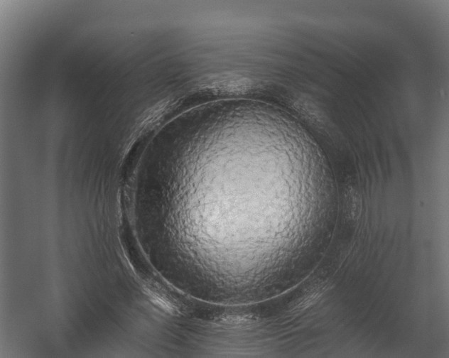 X0000058130638200509261301