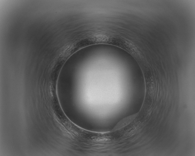 X0000058130643200509261301