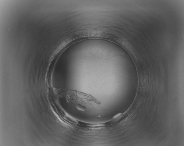 X0000058130674200509261301