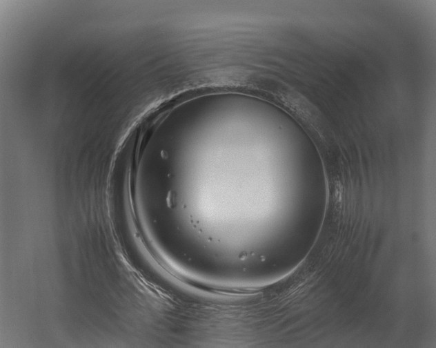 X0000058130676200509261301