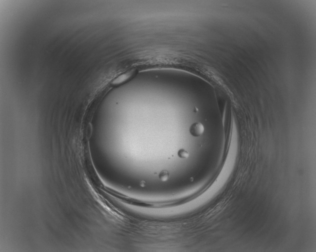 X0000058130677200509261301