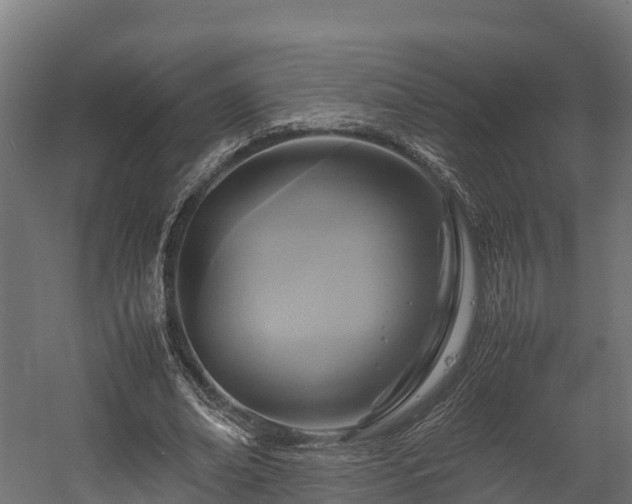 X0000058130678200509261301