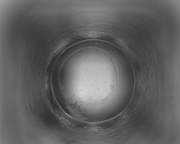 X0000058130683200509261301