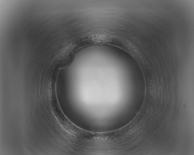 X0000058130690200509261301