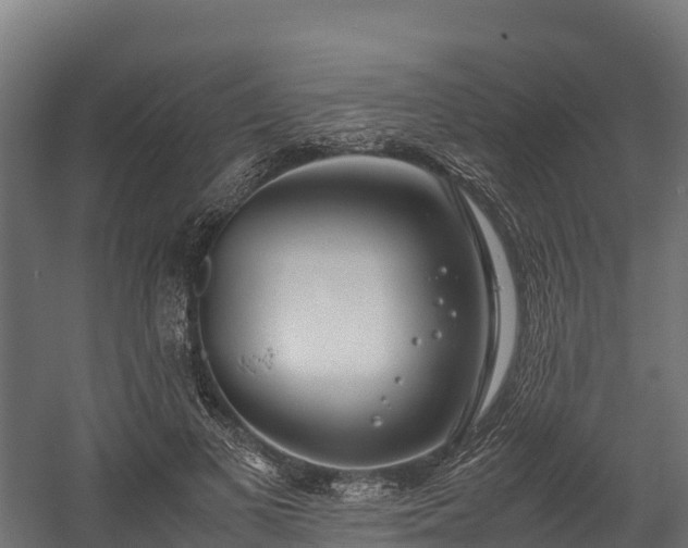 X0000058130693200509261301