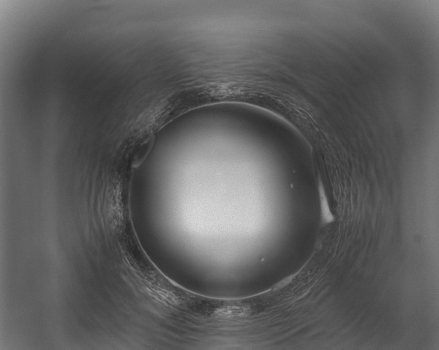 X0000058130700200509261301