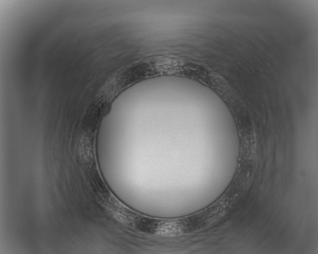 X0000058130705200509261301