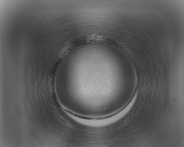 X0000058130708200509261300