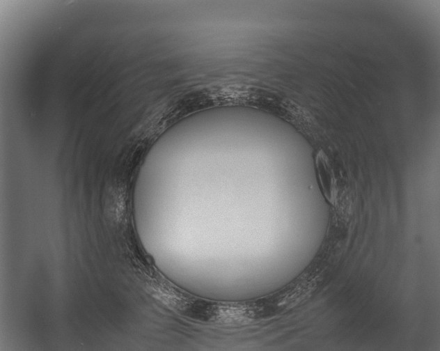 X0000058130709200509261300