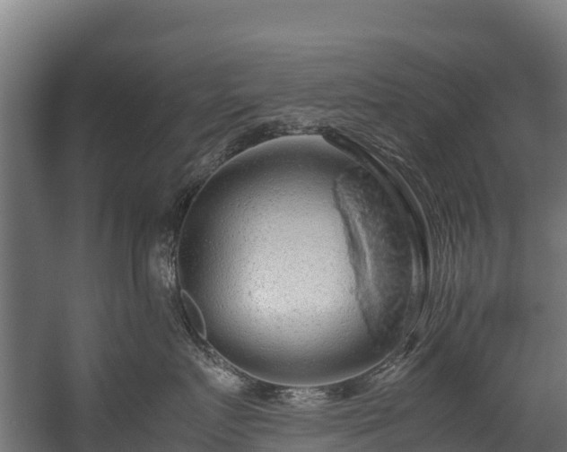 X0000058130719200509261300