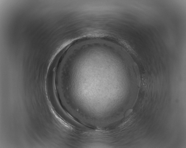 X0000058130726200509261300