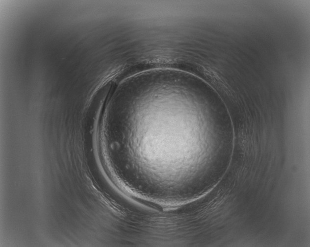 X0000058130735200509261300
