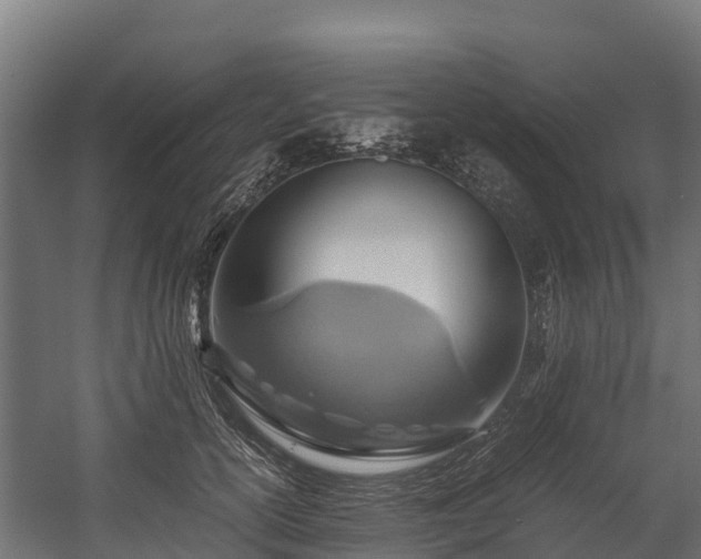 X0000058130754200509261300