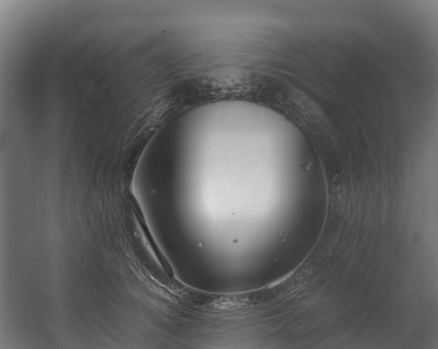 X0000058130756200509261300