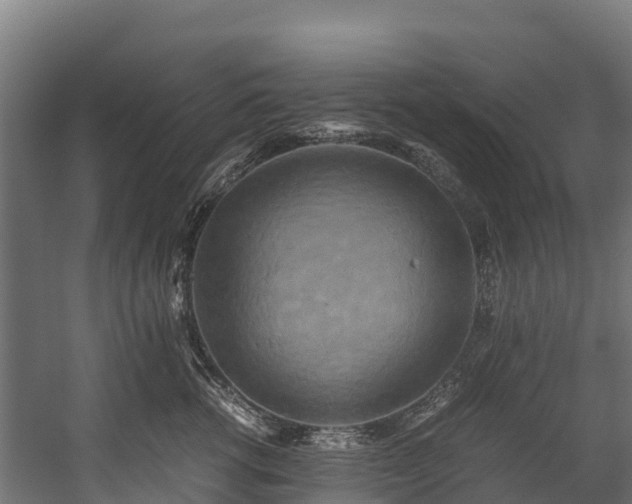 X0000058130762200509261300