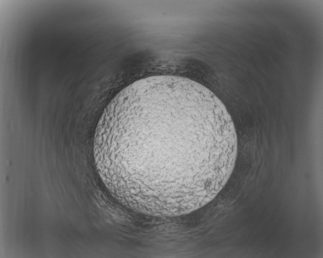 X0000058130769200509261259
