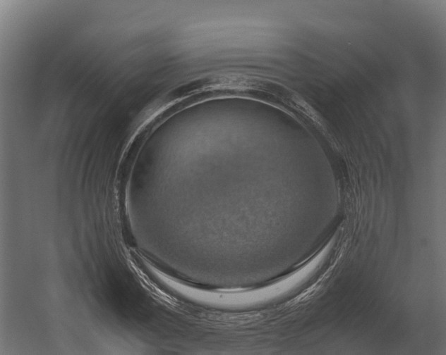 X0000058130779200509261259