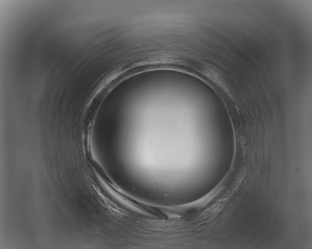 X0000058130781200509261259