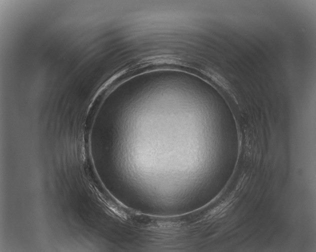 X0000058130782200509261259