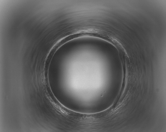 X0000058130784200509261259