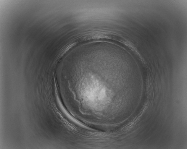 X0000058130785200509261259