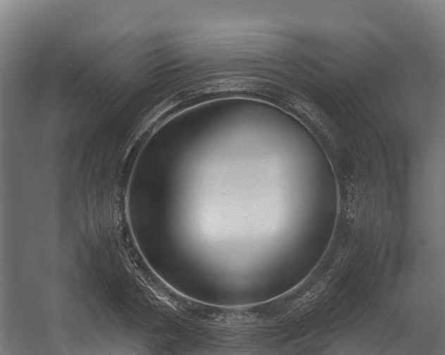 X0000058130786200509261259