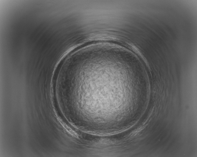 X0000058130787200509261259