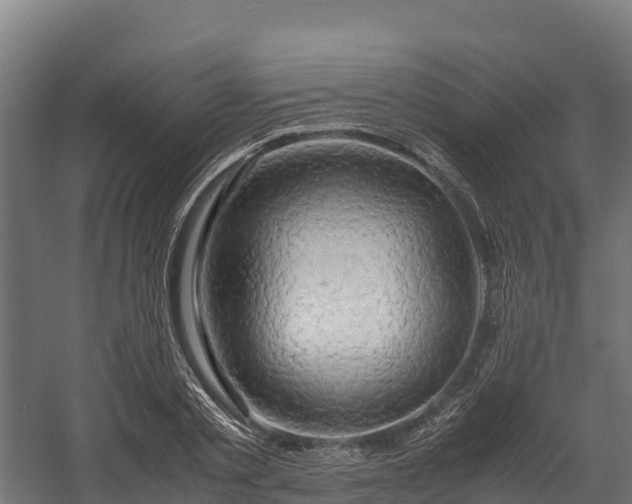 X0000058130789200509261259