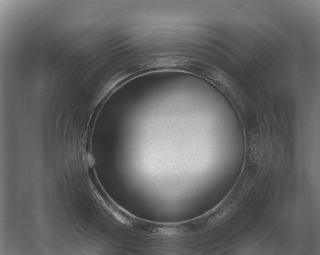 X0000058130794200509261259