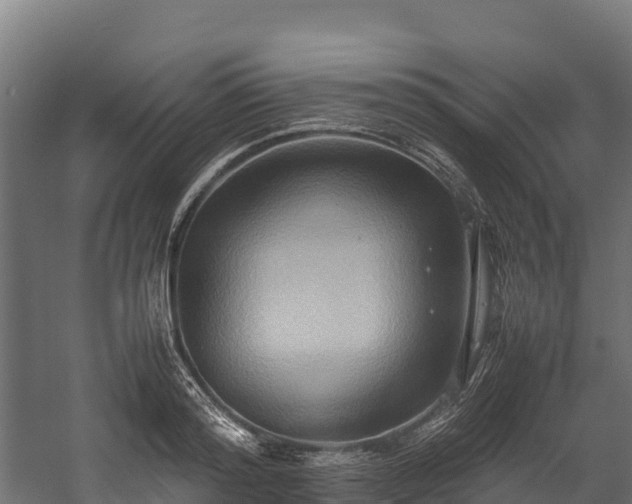 X0000058130796200509261259